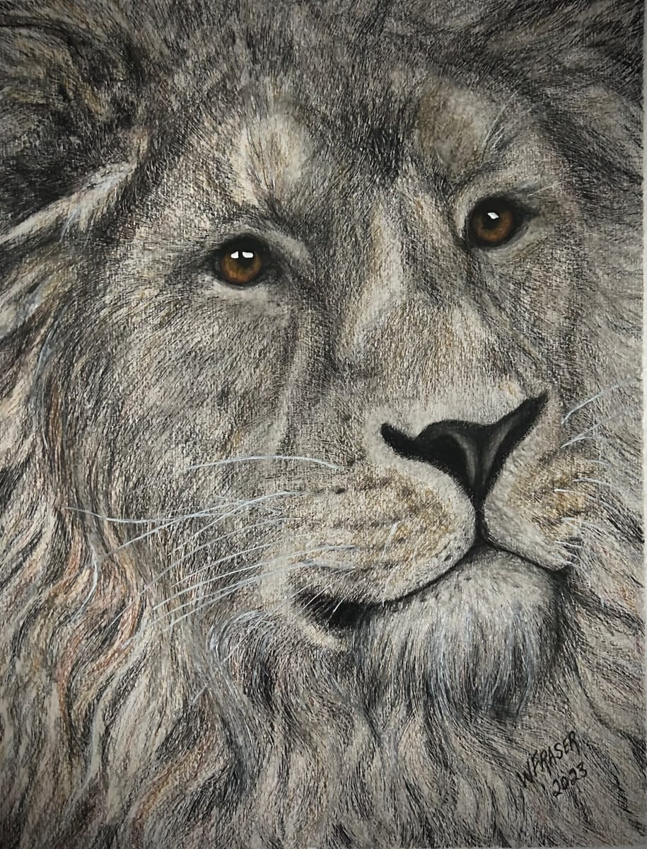 Lion 2 by Wanda Fraser 