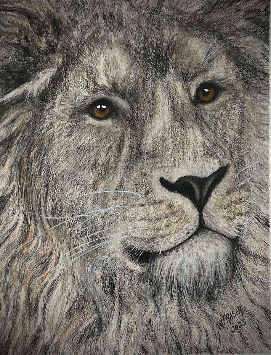 Lion 2 by Wanda Fraser, Image 1.