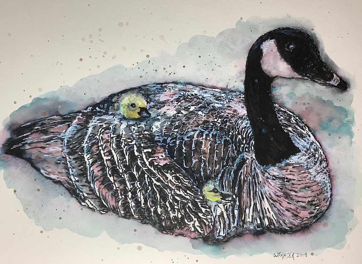 SOLD - Matilda - Canada Goose Nesting by Wanda Fraser, Image 1.