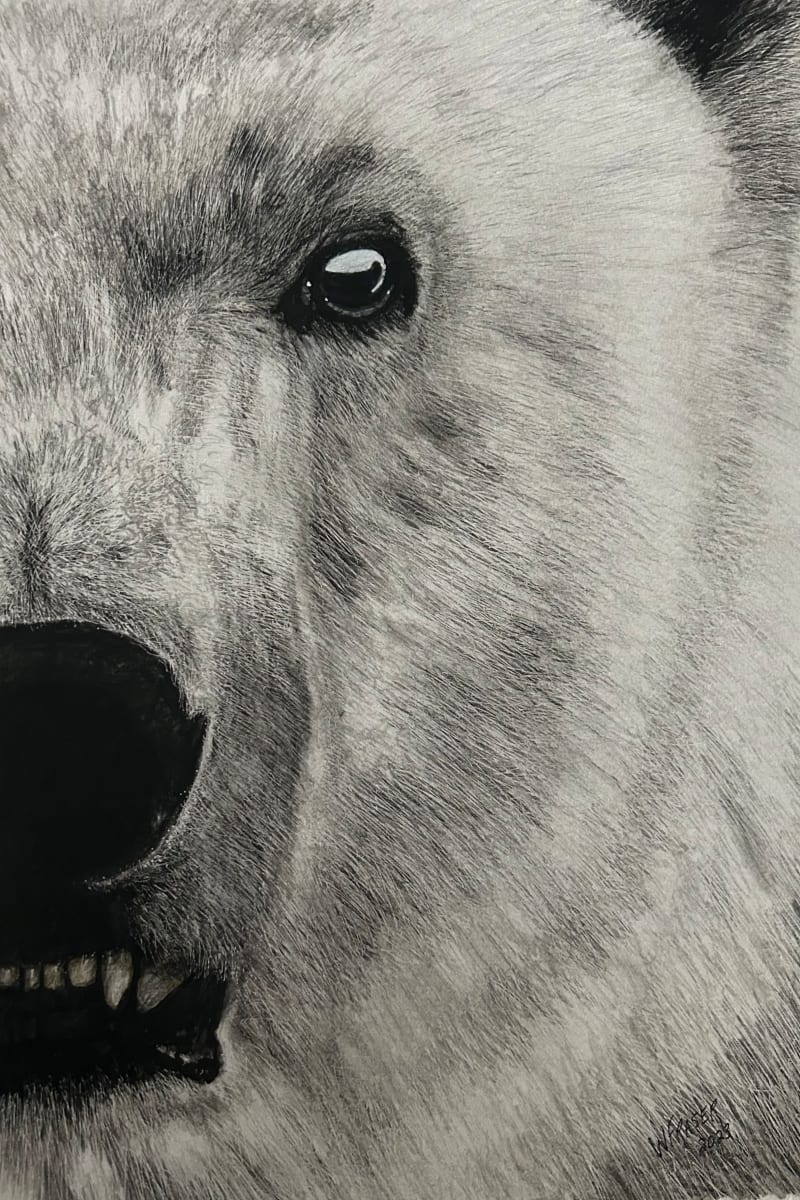 Polar Bear by Wanda Fraser 