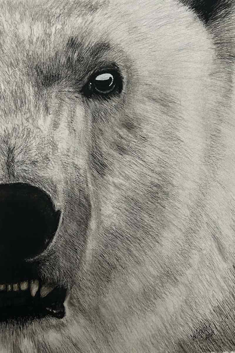 Polar Bear by Wanda Fraser, Image 1.