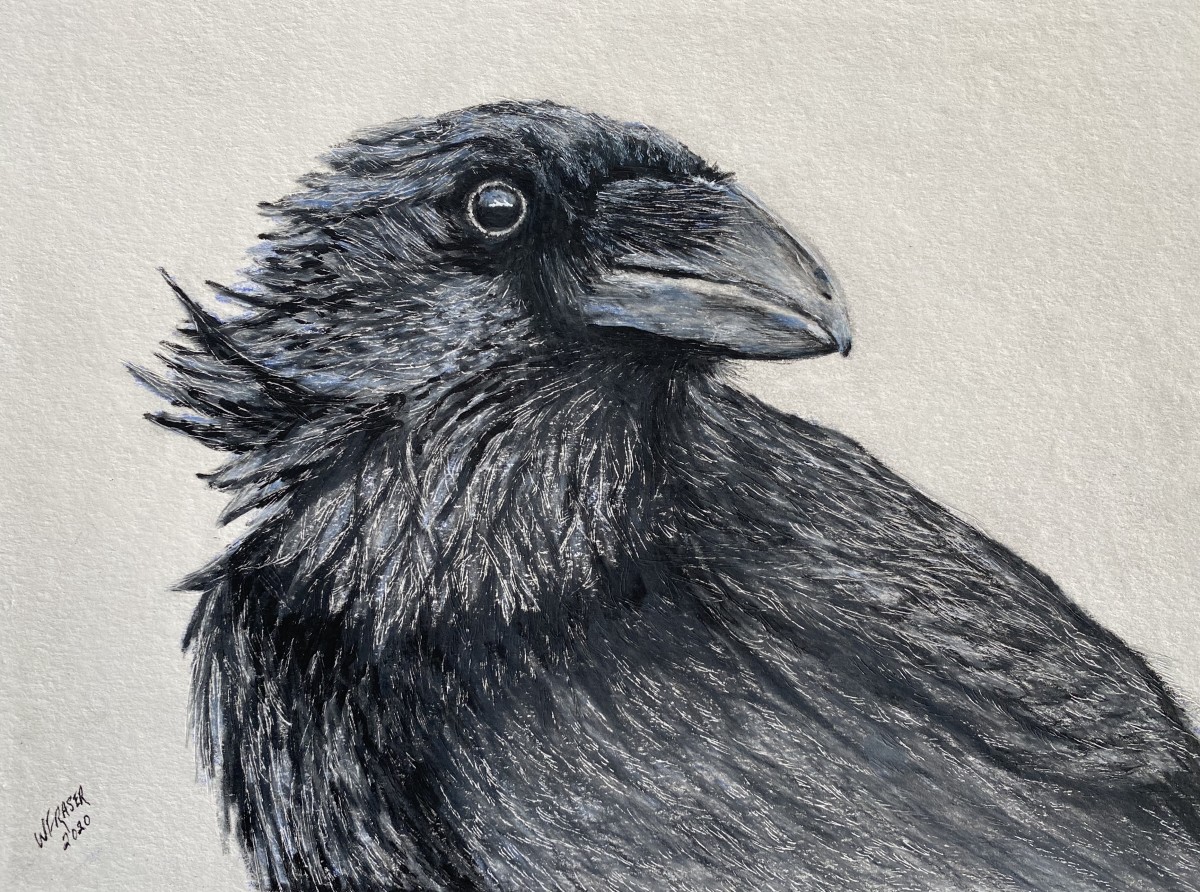 The Raven by Wanda Fraser 