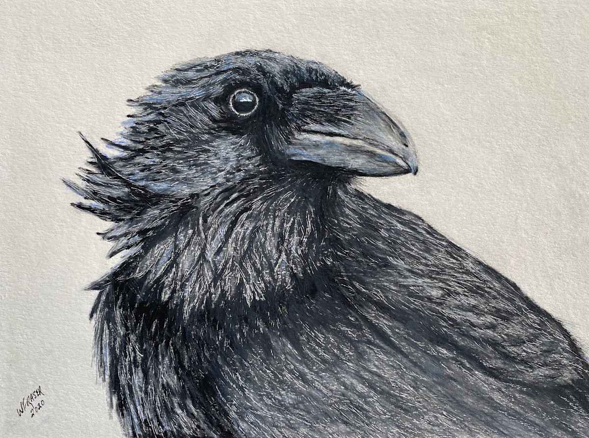 The Raven by Wanda Fraser, Image 1.
