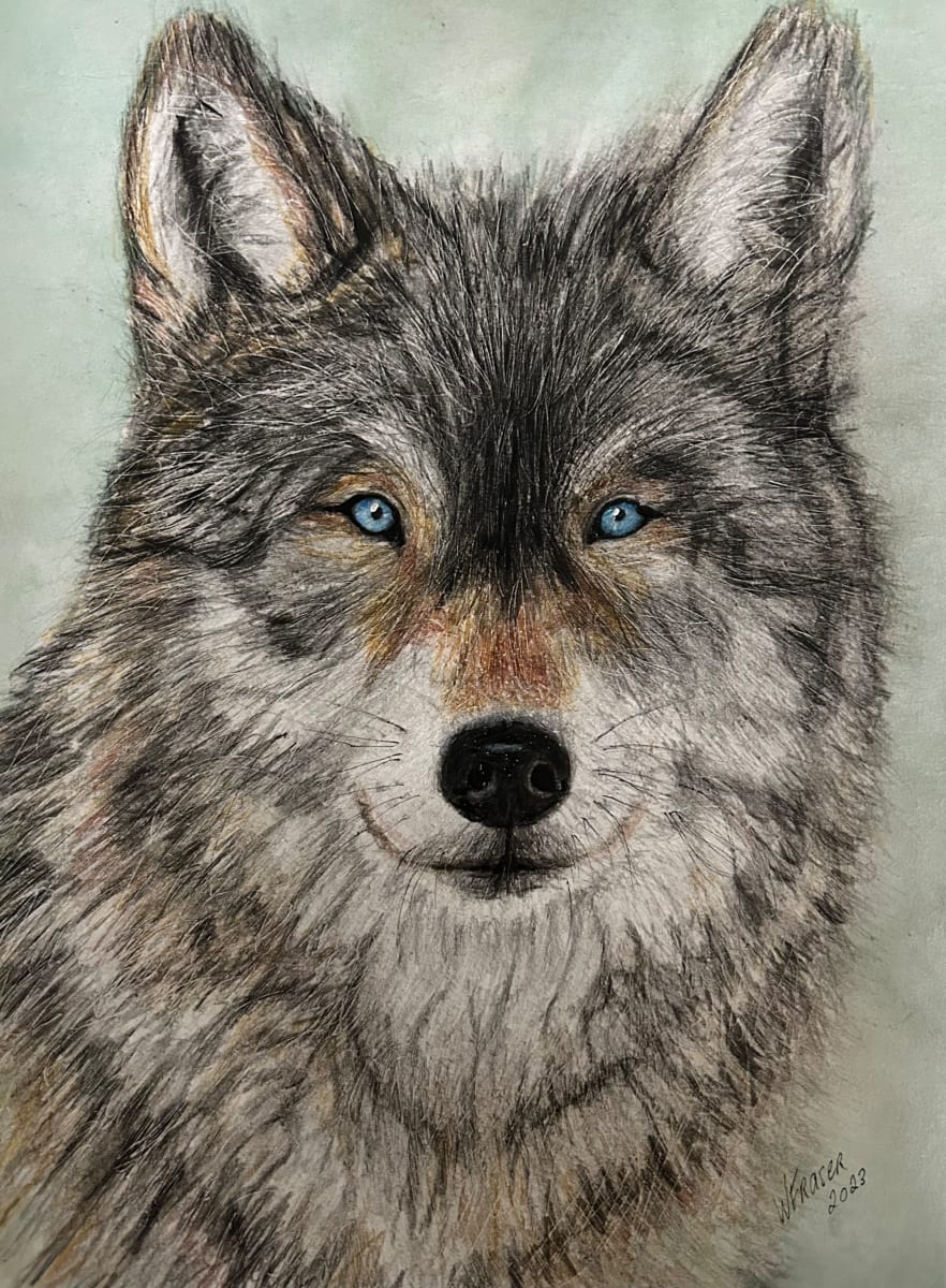 Wolf by Wanda Fraser 