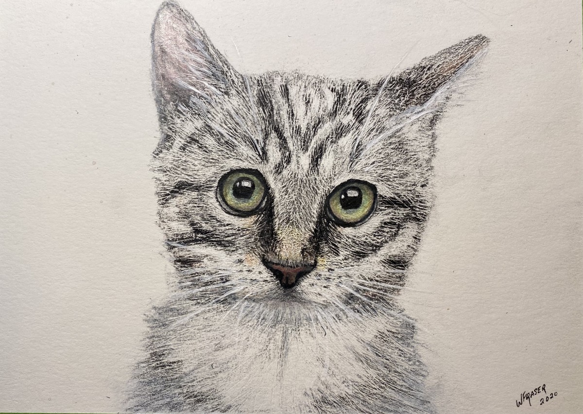 Pretty Penny by Wanda Fraser 