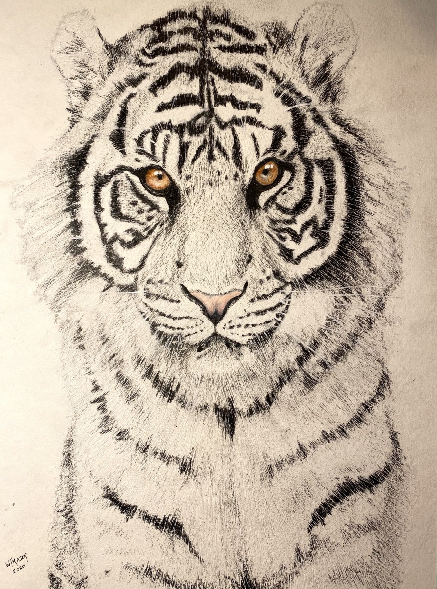 White Tiger by Wanda Fraser 