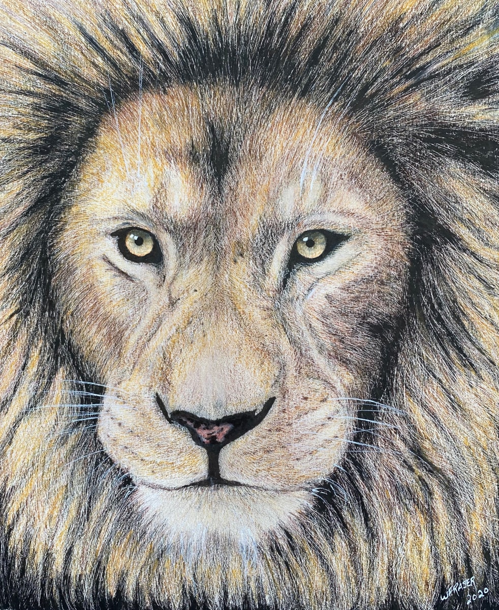 Lion by Wanda Fraser 