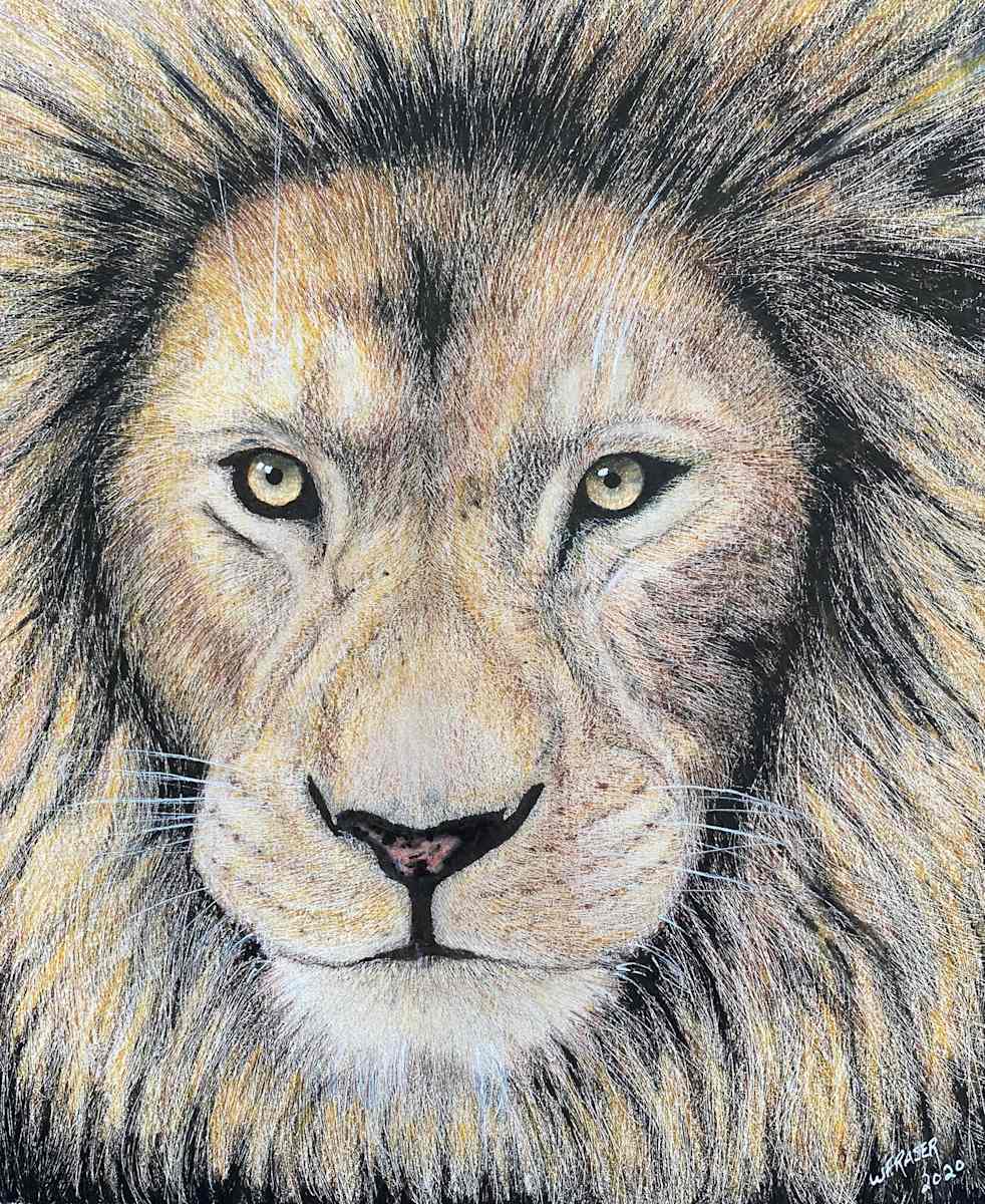 Lion by Wanda Fraser, Image 1.