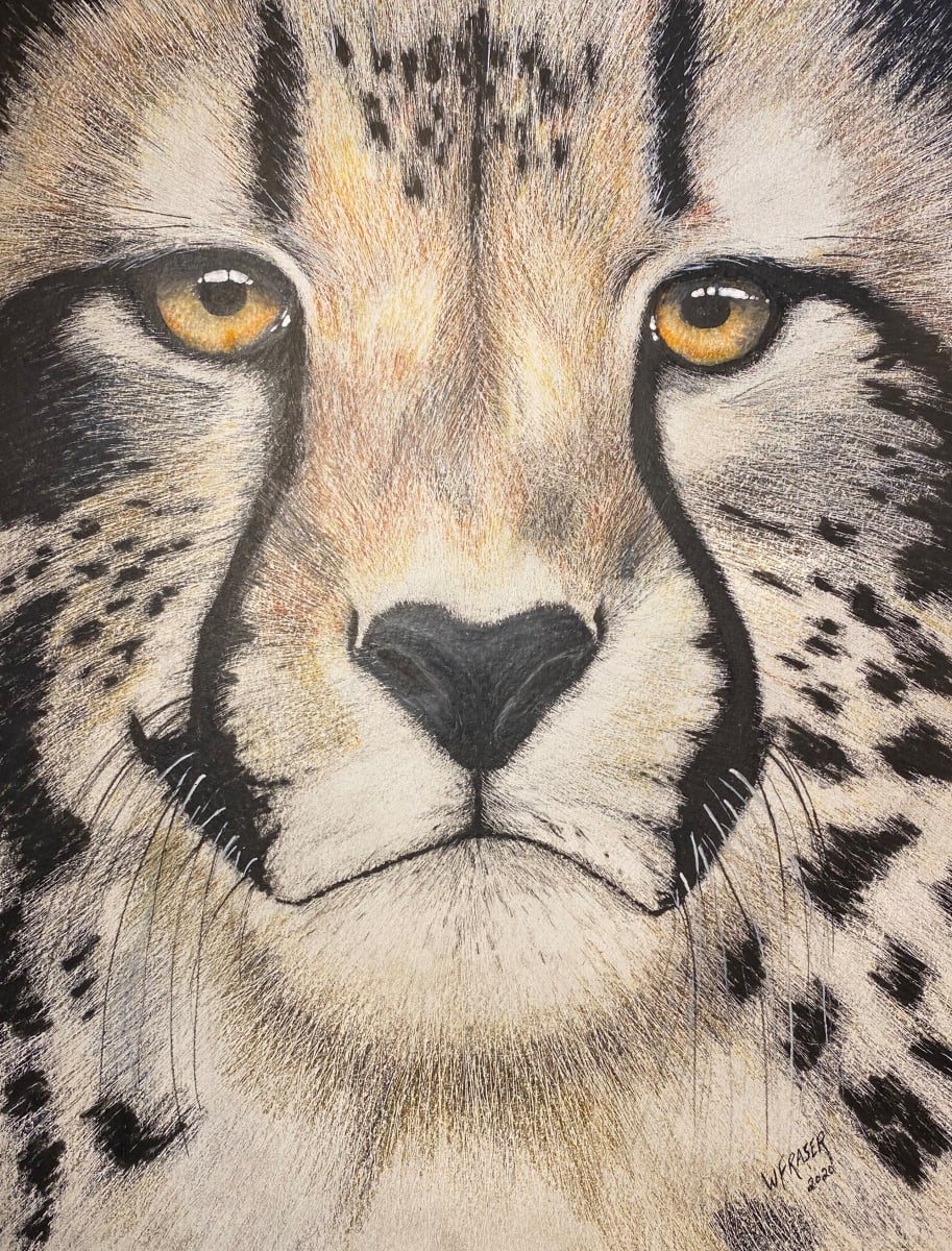 Cheetah by Wanda Fraser 