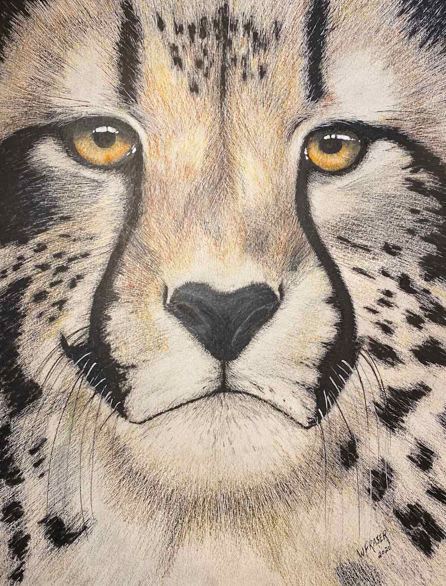 Cheetah by Wanda Fraser, Image 1.