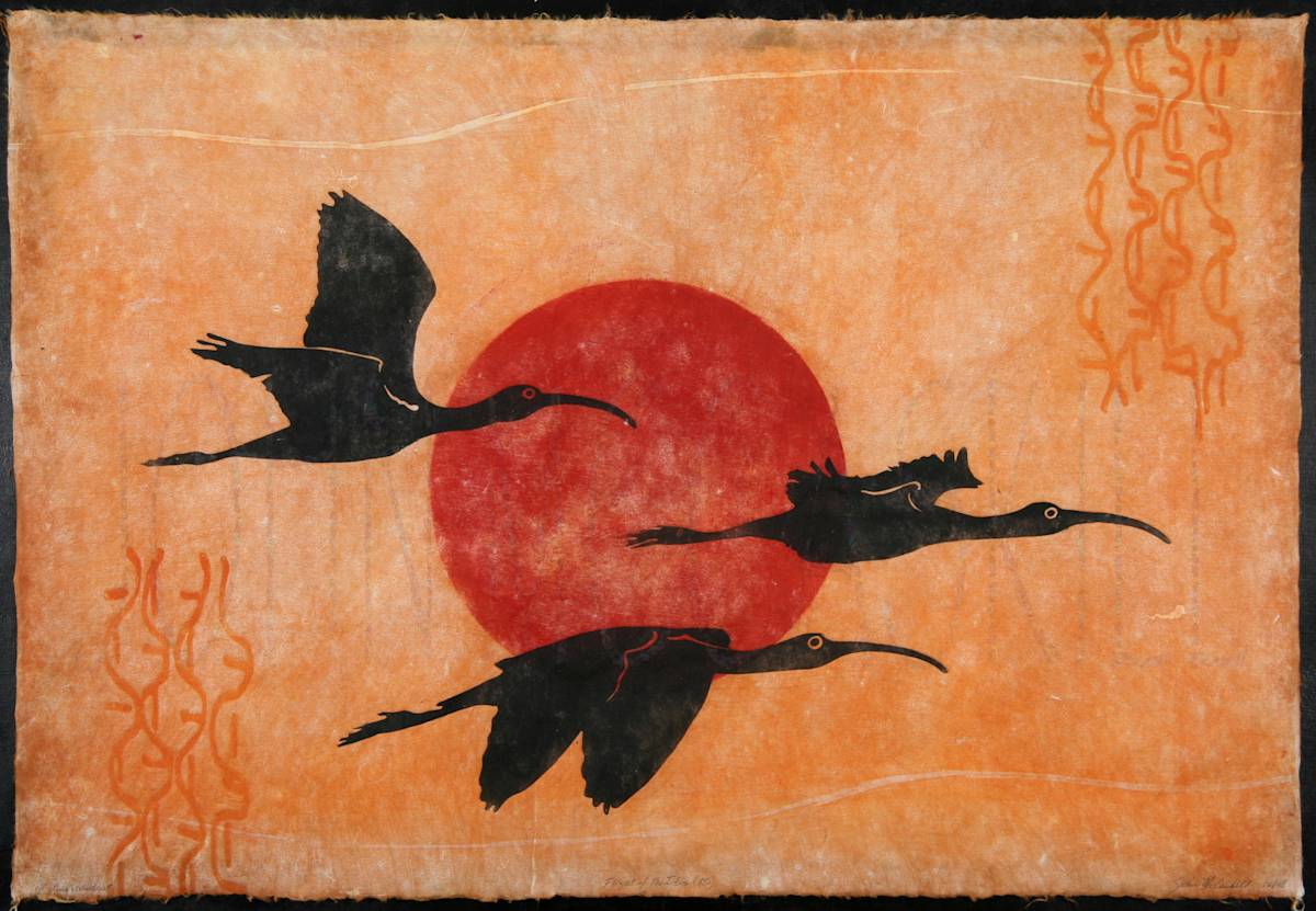 Flight of the Ibis by John McCaskill 