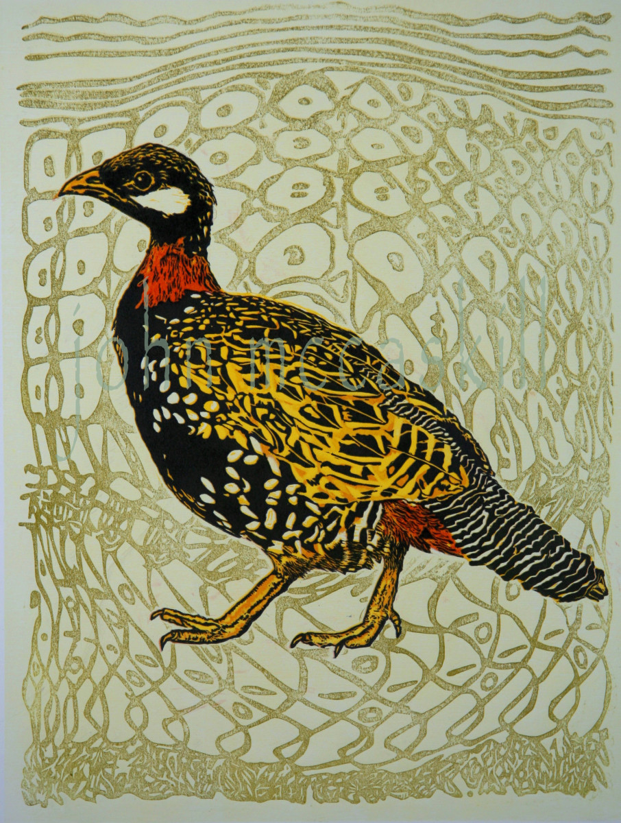 "Francolin" by John McCaskill 