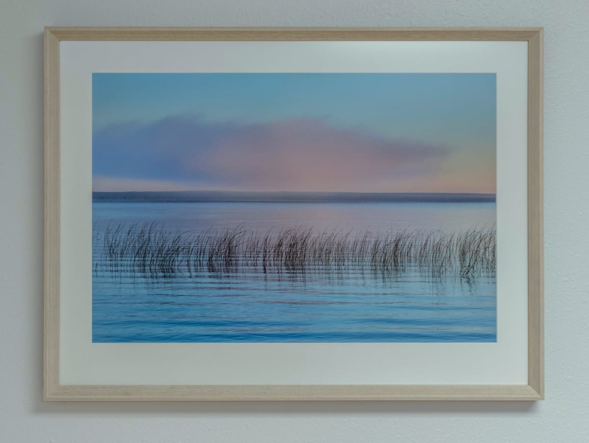 Blush #1 by Kent Burkhardsmeier 