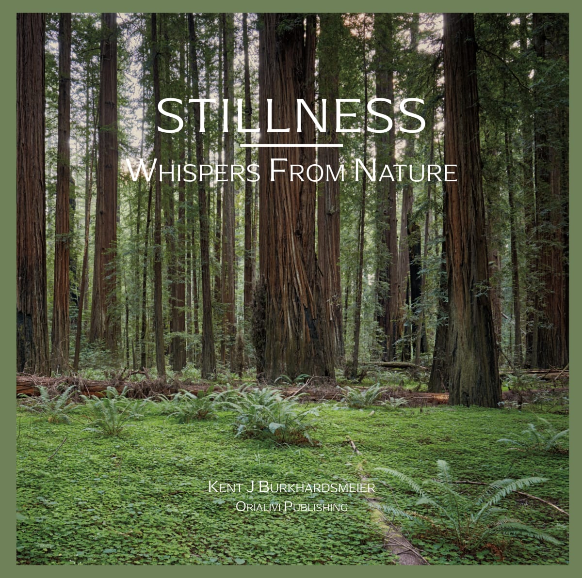 Stillness: Whispers From Nature #1 by Kent Burkhardsmeier 