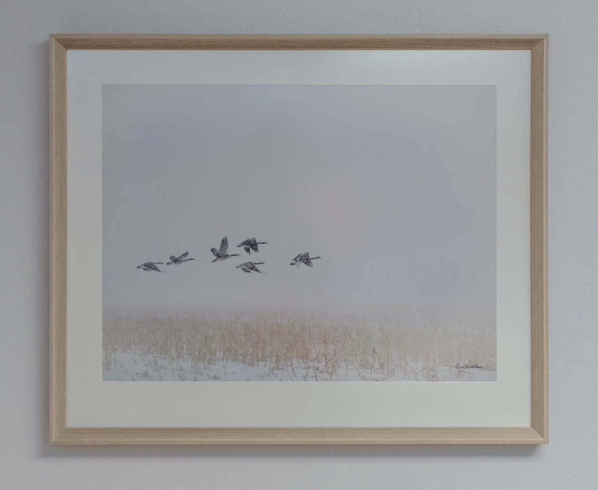 Snowbirds #1 by Kent Burkhardsmeier