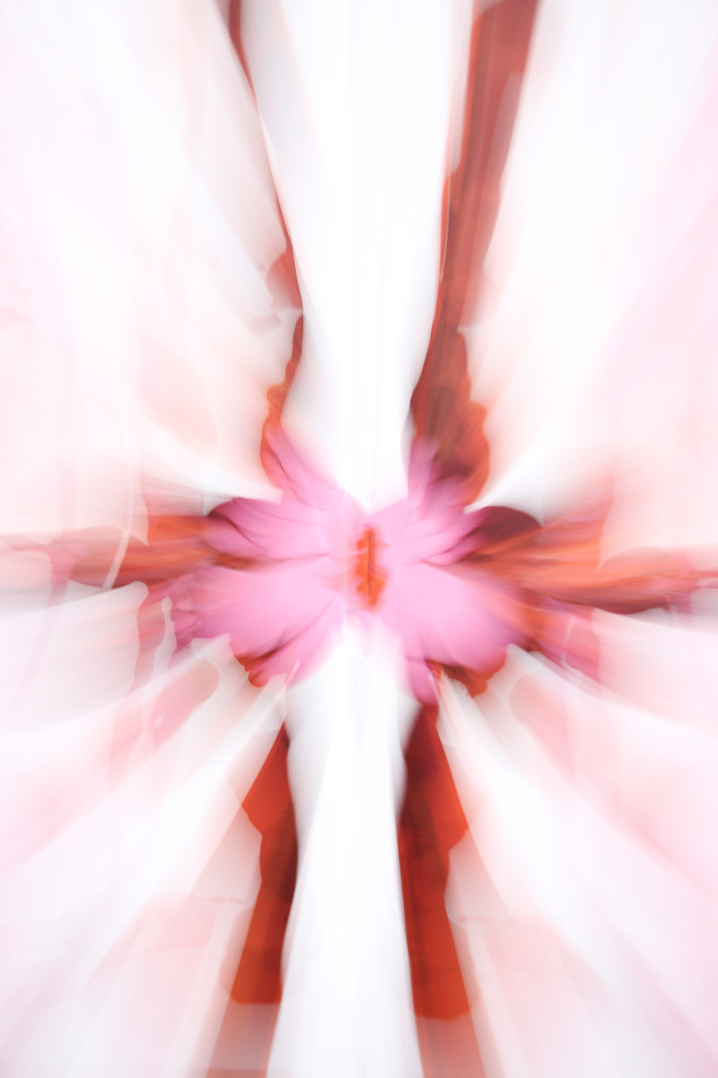 Fluid #3 Limited Edition by Dominique Fierro 