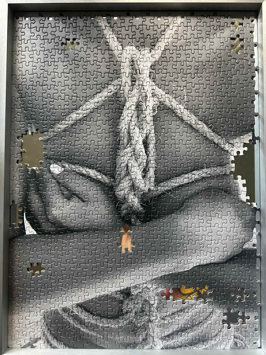 Trauma Bonds: Idealization by Dominique Fierro, Image 1.