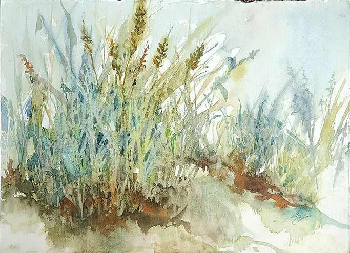 Beach Grasses by Sue Dion 