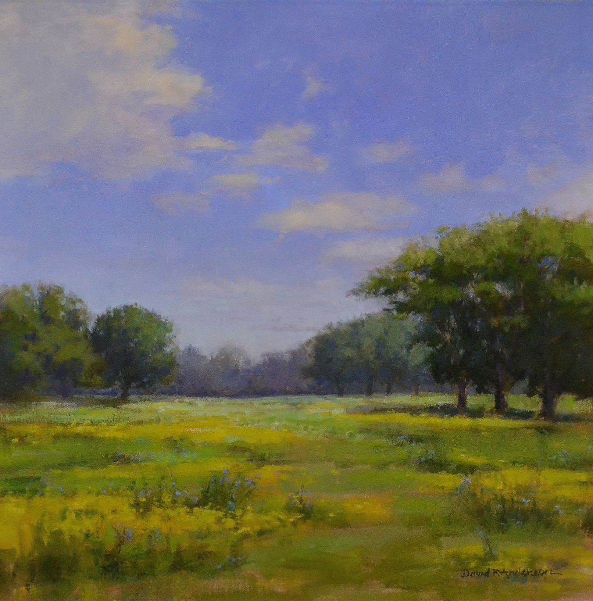 Island Morning by David R. Anderson 