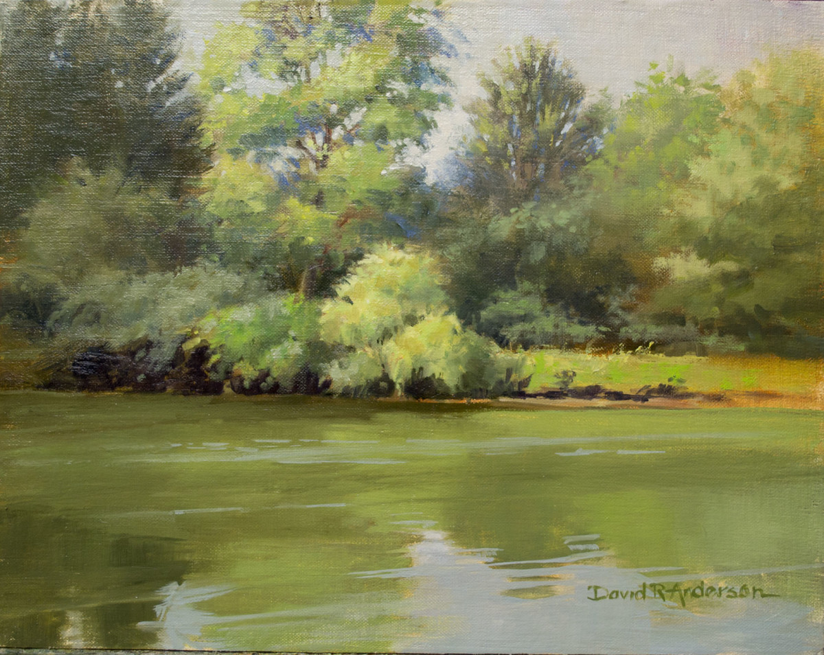 Summer Breeze by David R. Anderson 