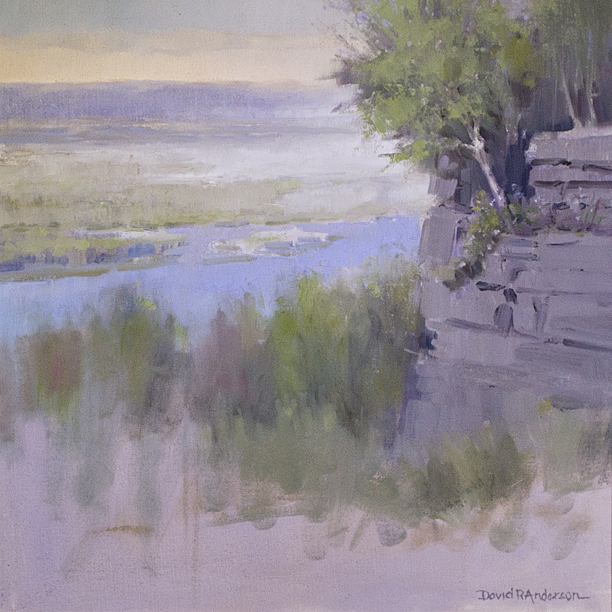 Wyalusing Bluff by David R. Anderson 