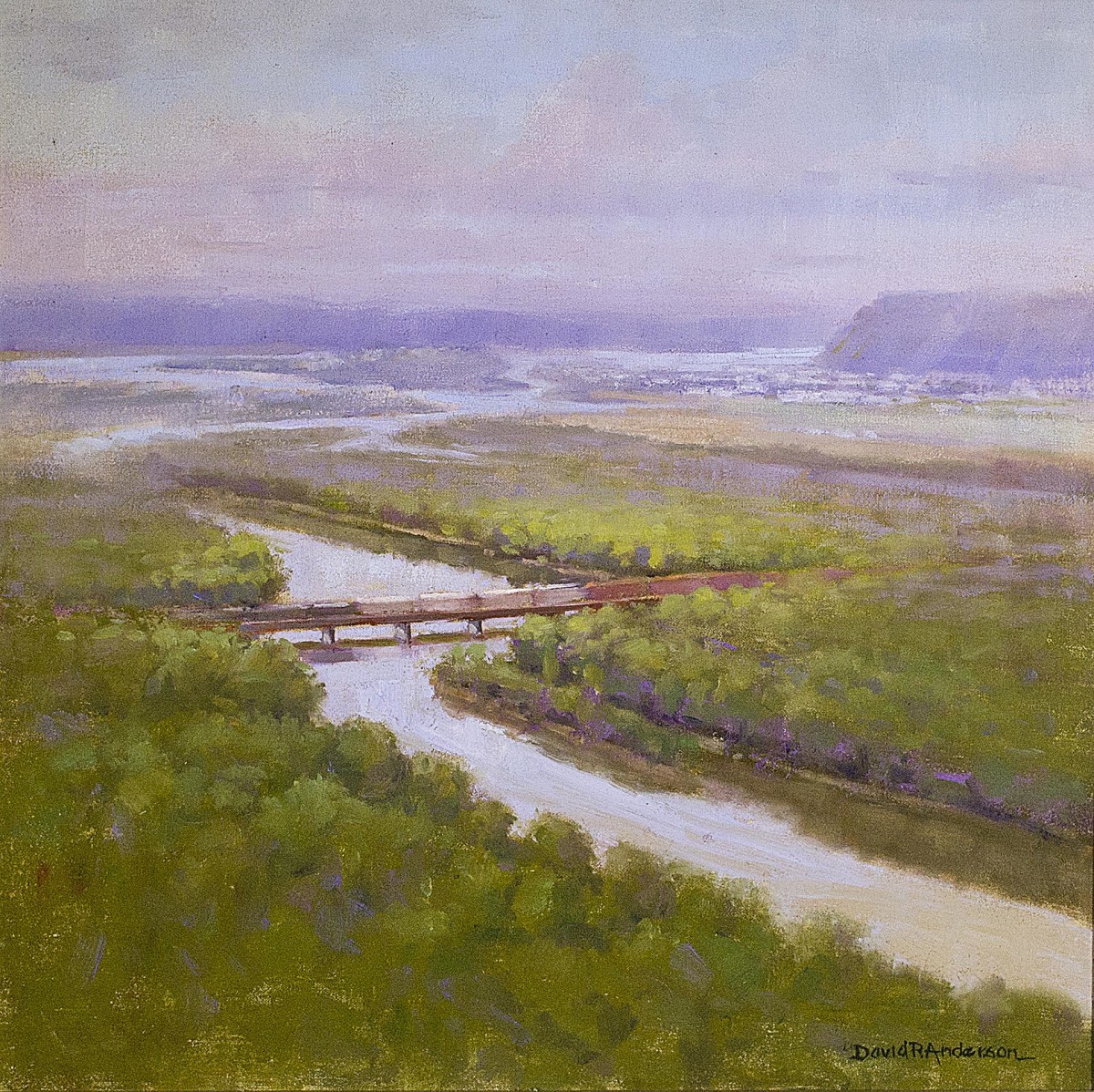 Wyalusing View by David R. Anderson 