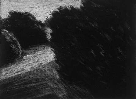 Blowing Trees by Karin Stack, Image 1.