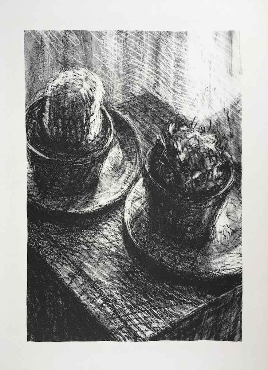 Cacti by Karin Stack, Image 1.