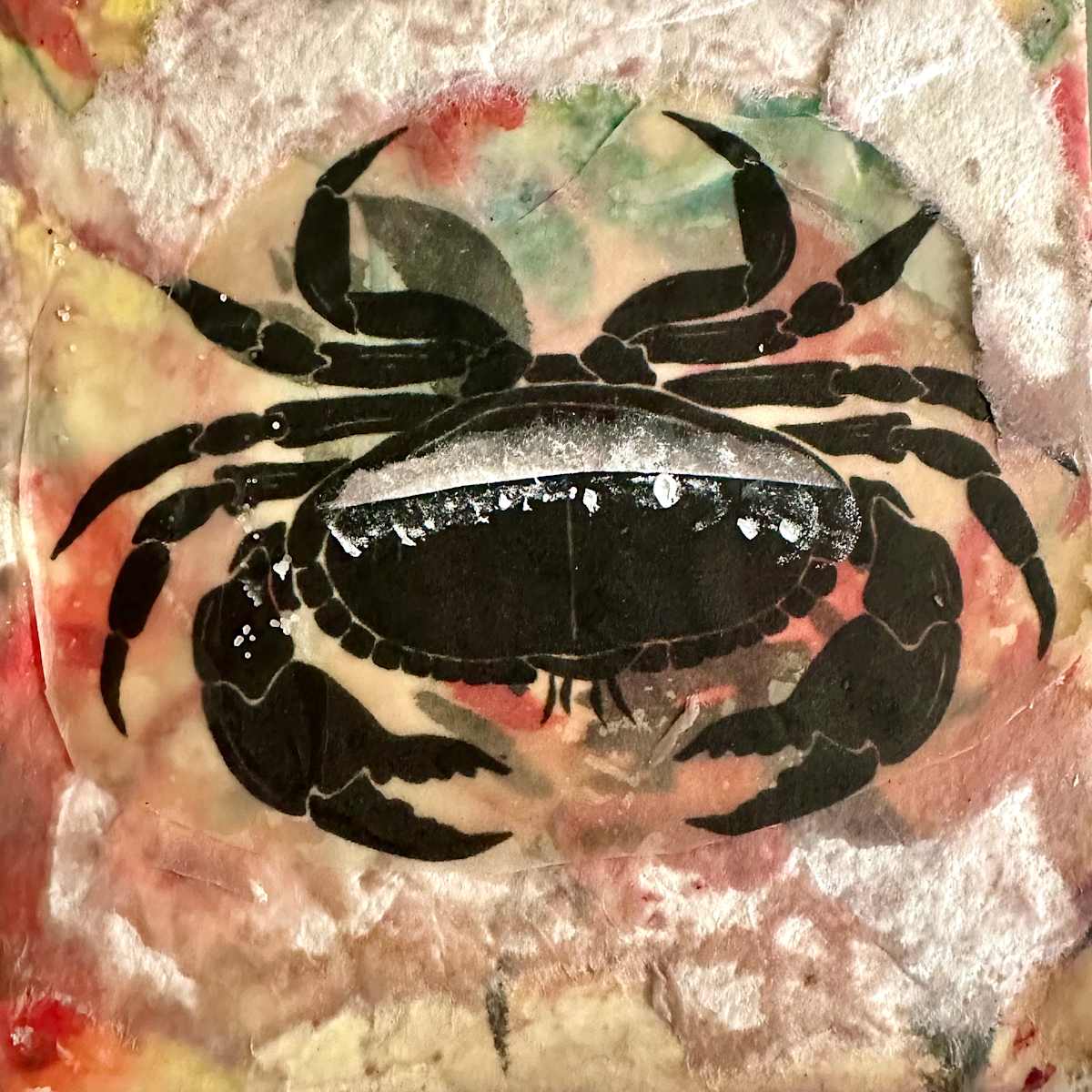 Crabby by Catherine  Mansell 