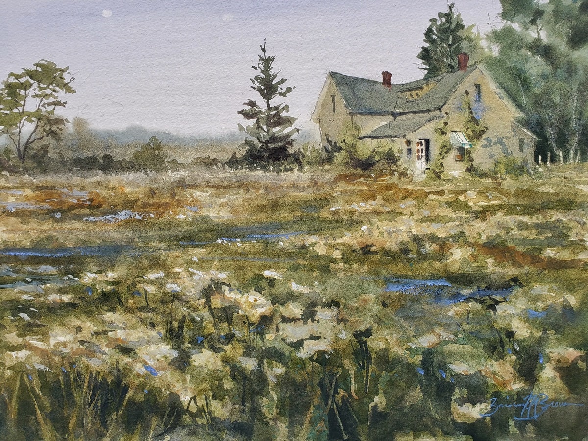 Abandoned Quietude by Brienne M Brown 