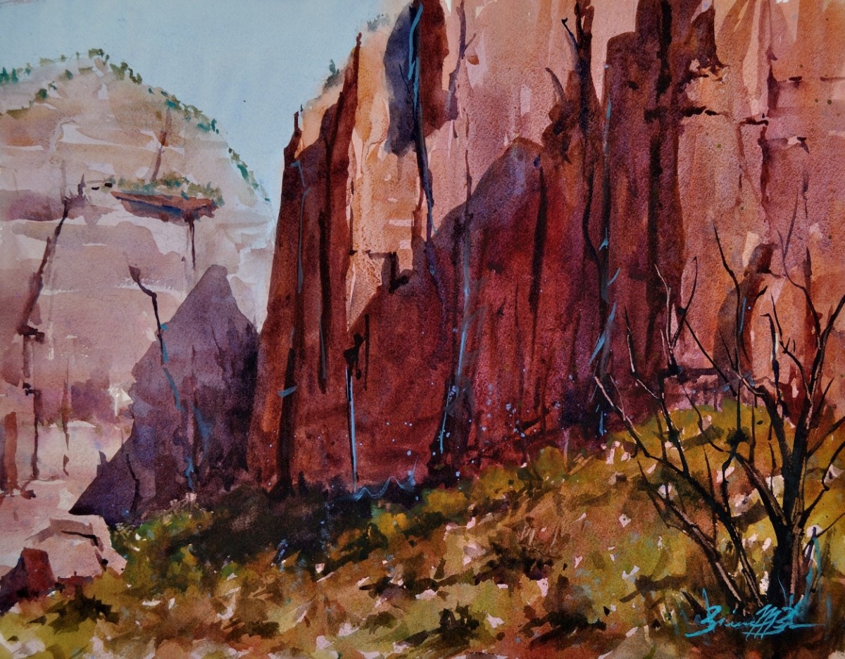 Canyon Walls by Brienne M Brown 