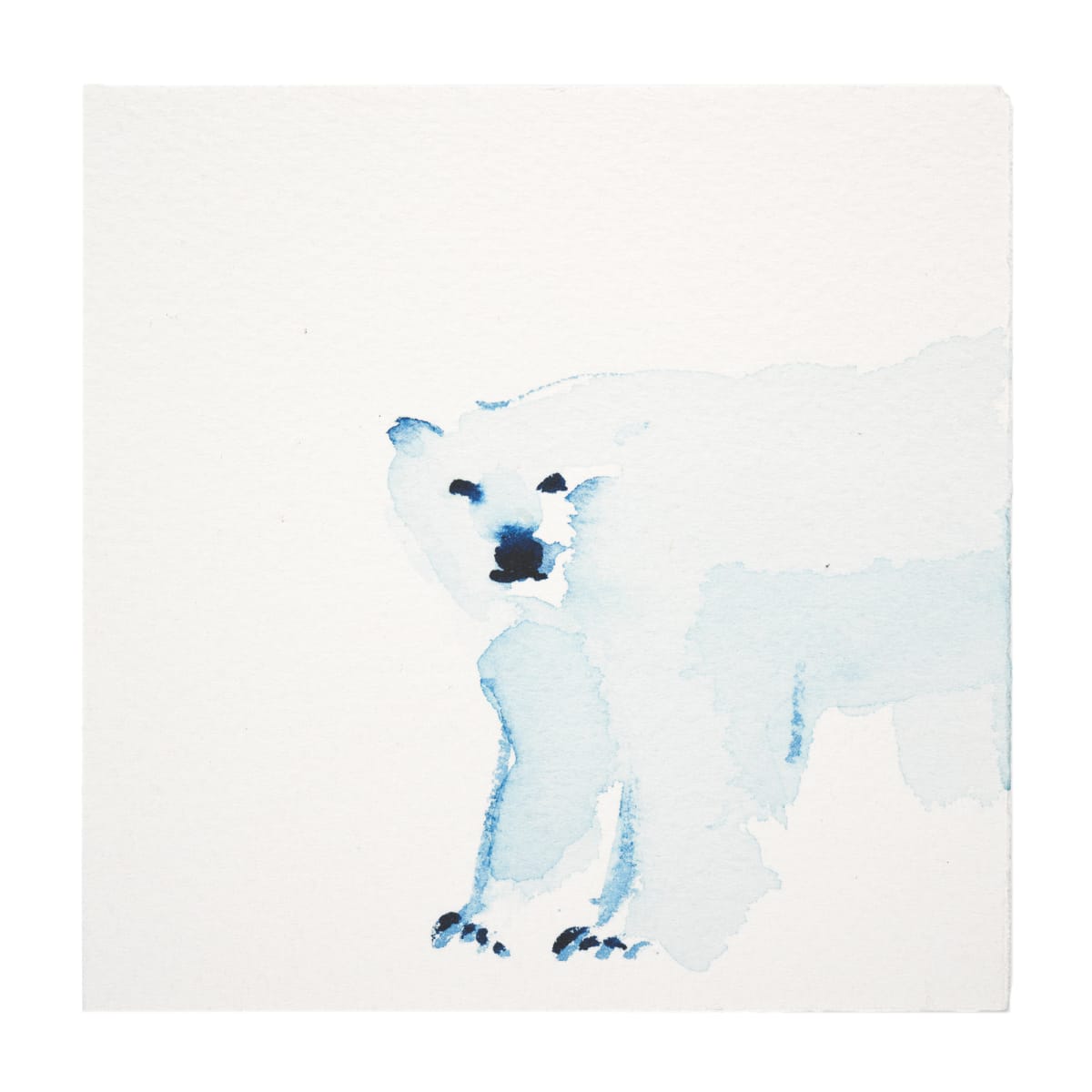 Animal indigo Study - Bear 44 by Vega Davis 