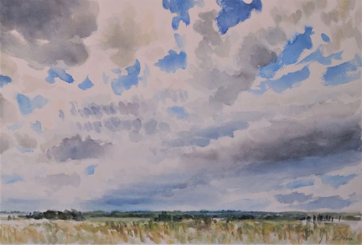 Summer Fields, Bright Sky by Elizabeth Ivers 