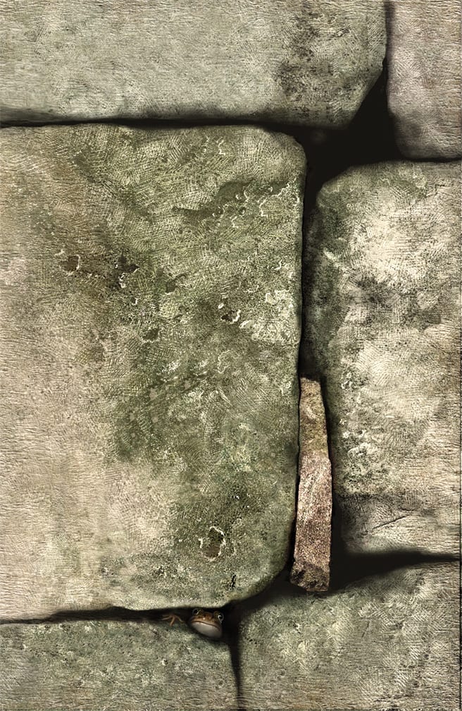 Froggy by Rick Nass, Image 1.