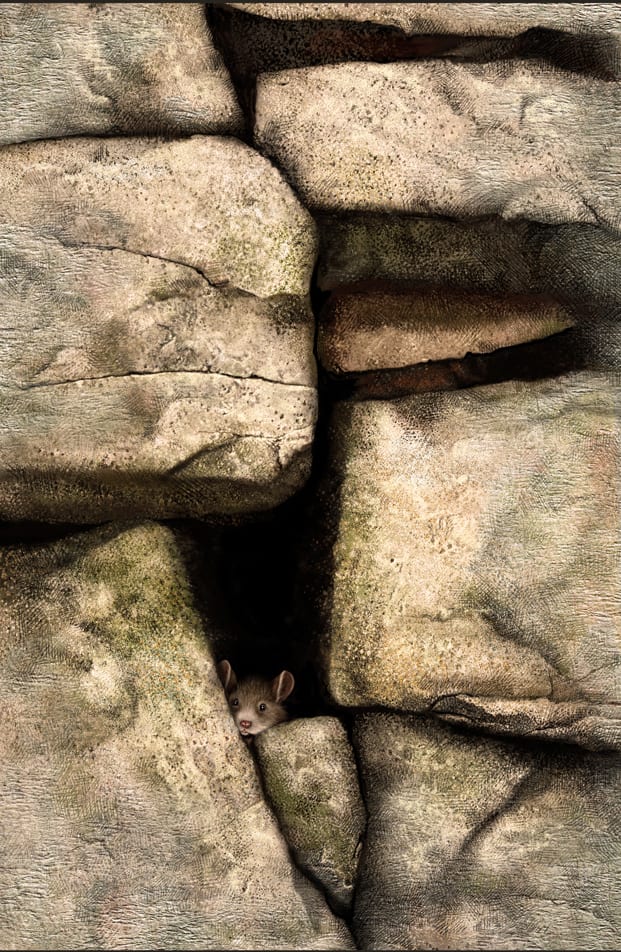 Mousy (Framed) by Rick Nass, Image 1.