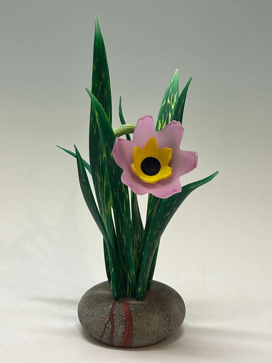 Black Eyed Susan by Nolan Prohaska 