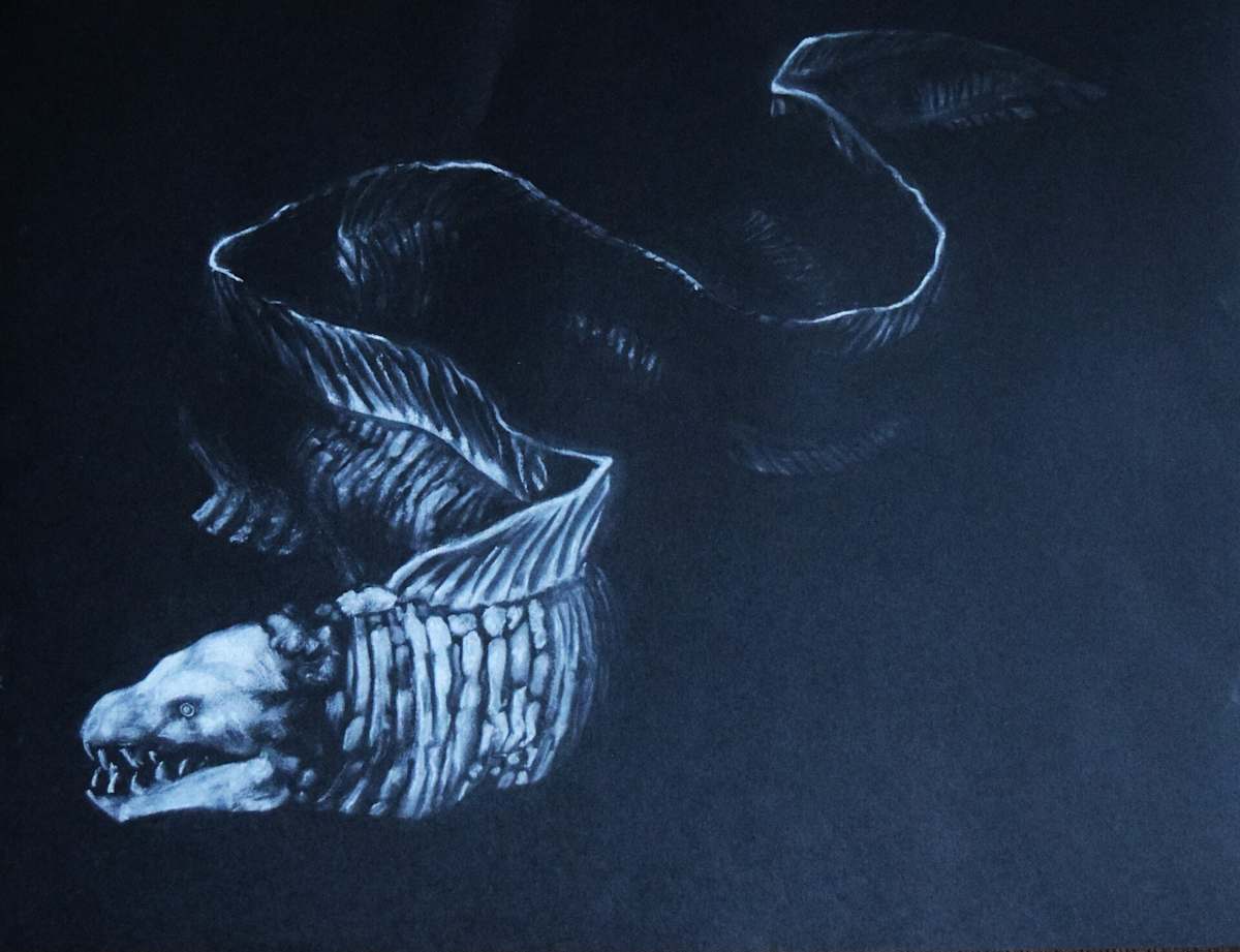 Moray Eel by Andrew Bonvicini  Image: Not For Sale