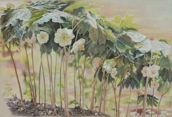 Child's Fantasy Forest by Rhonda Nass, Image 1.