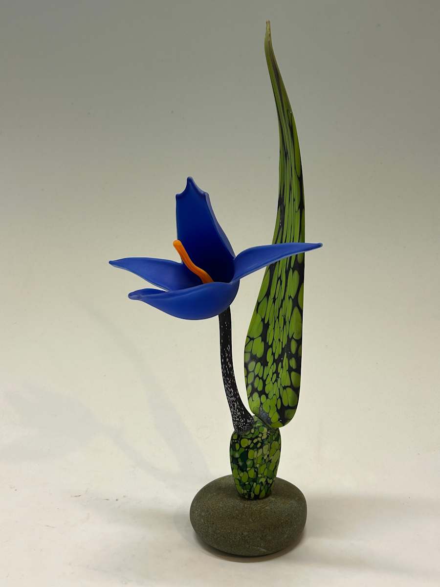 Cobalt Orchid by Nolan Prohaska, Image 2.