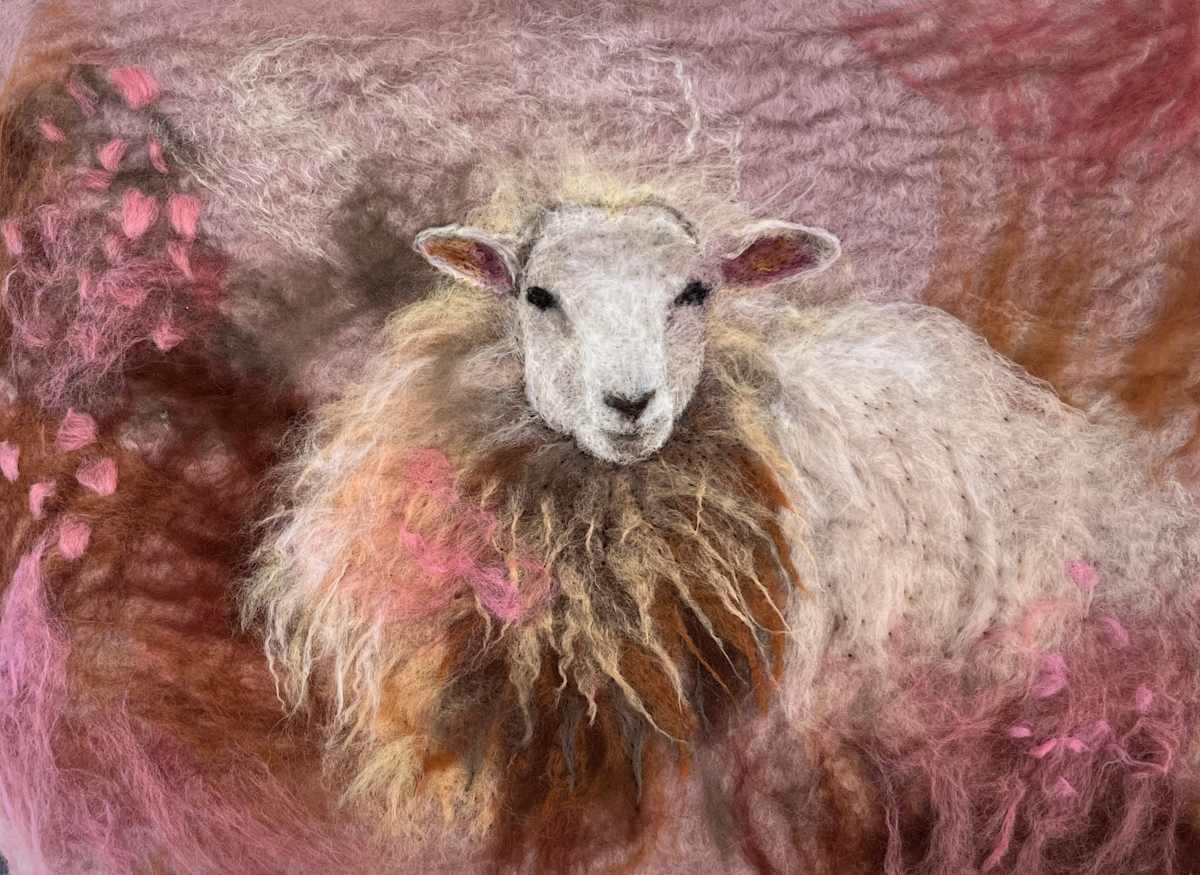 Confortable in Pink by Elizabeth Shaw 