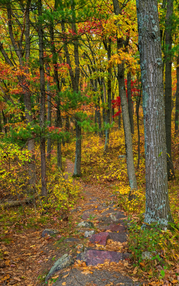 Devil's Lake Fall Path by Mike Murray 