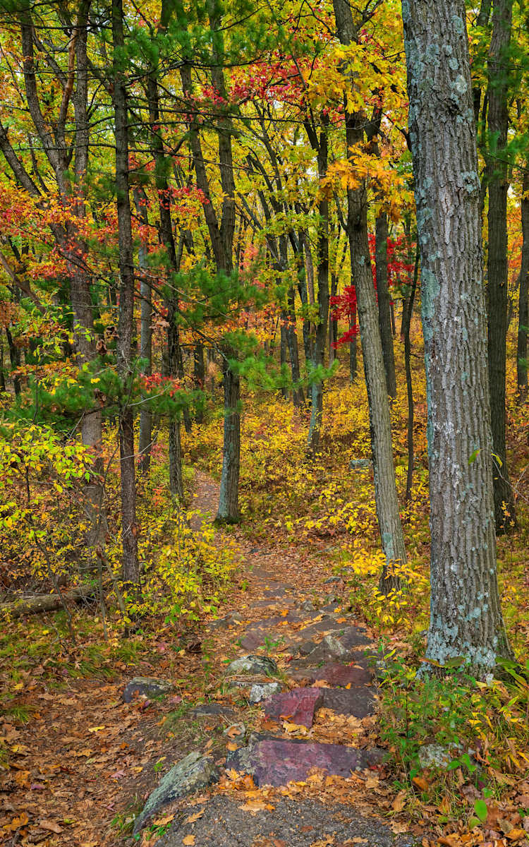 Devil's Lake Fall Path by Mike Murray, Image 1.