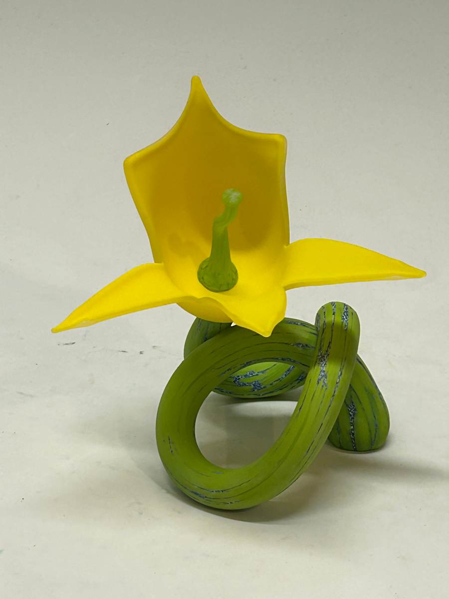 Forget Me Knot by Nolan Prohaska 