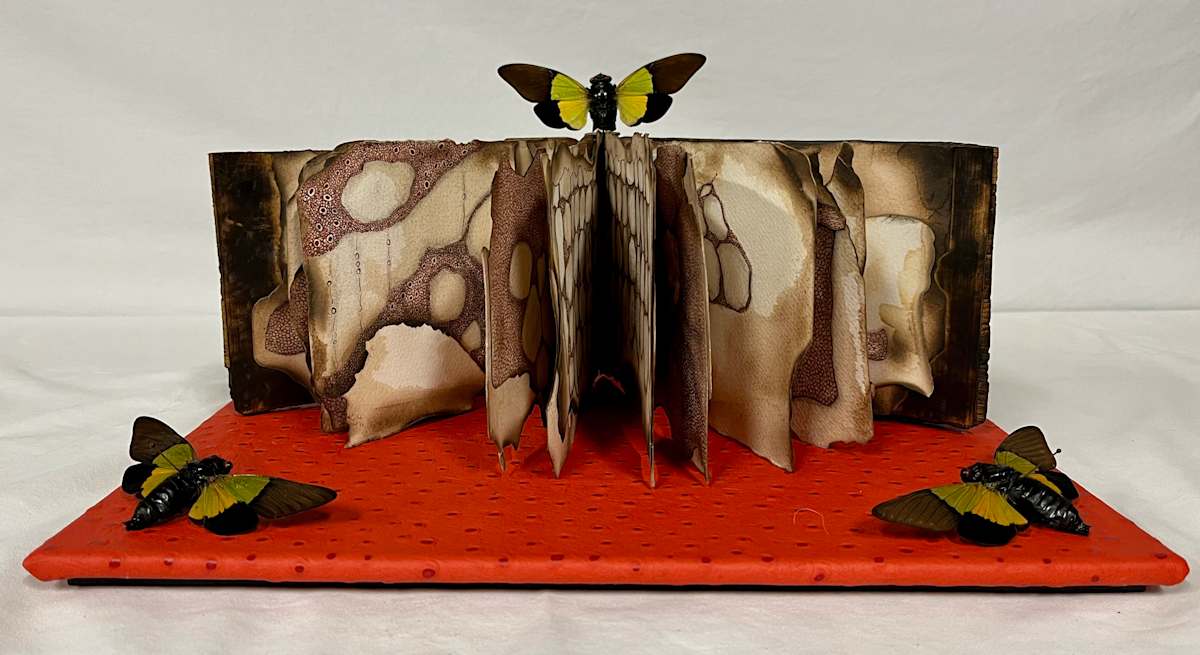 Geologies of the Unseen by Katherine Engen 