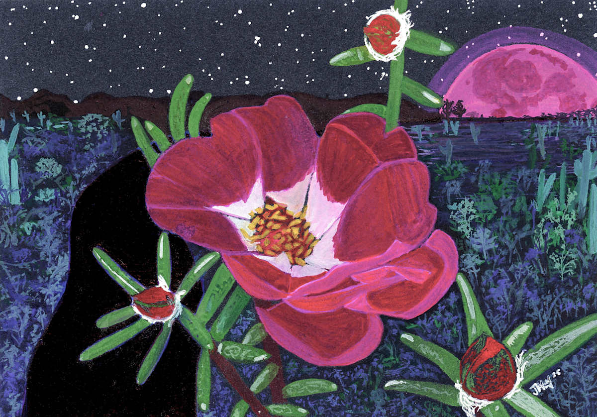 Pink Moon Flores by Jessica Gutierrez, Image 1.