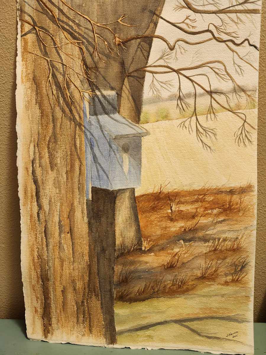 Neighbor's House (NFS) by Jude Hanna 