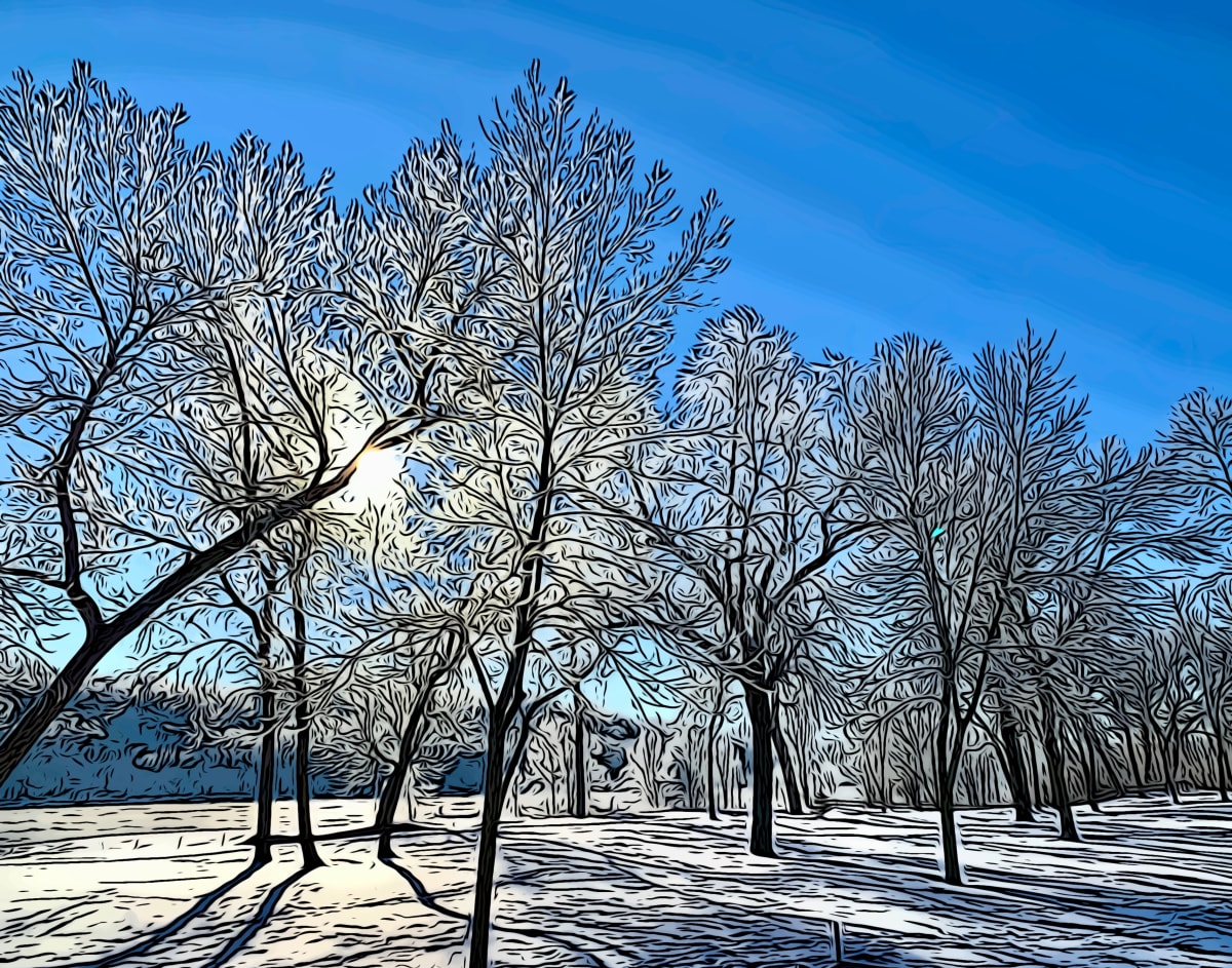 White Winter 1/2019 by Kathy Kelter, Image 2.
