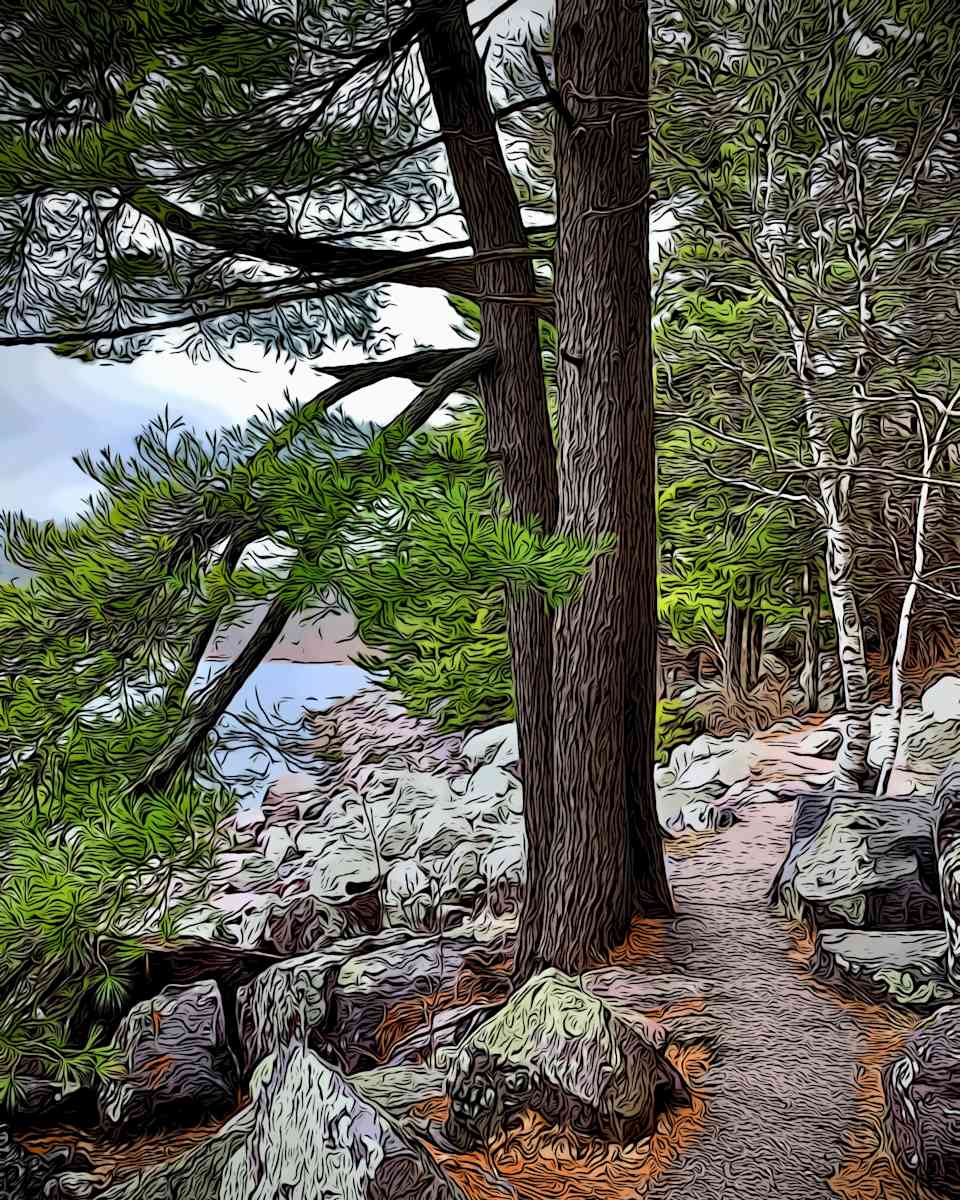 Devil's Lake 5/2020 by Kathy Kelter, Image 2.