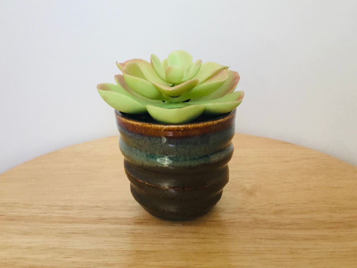 Mini Planters (available in multiple colors) by Amber Gavin, Image 1.