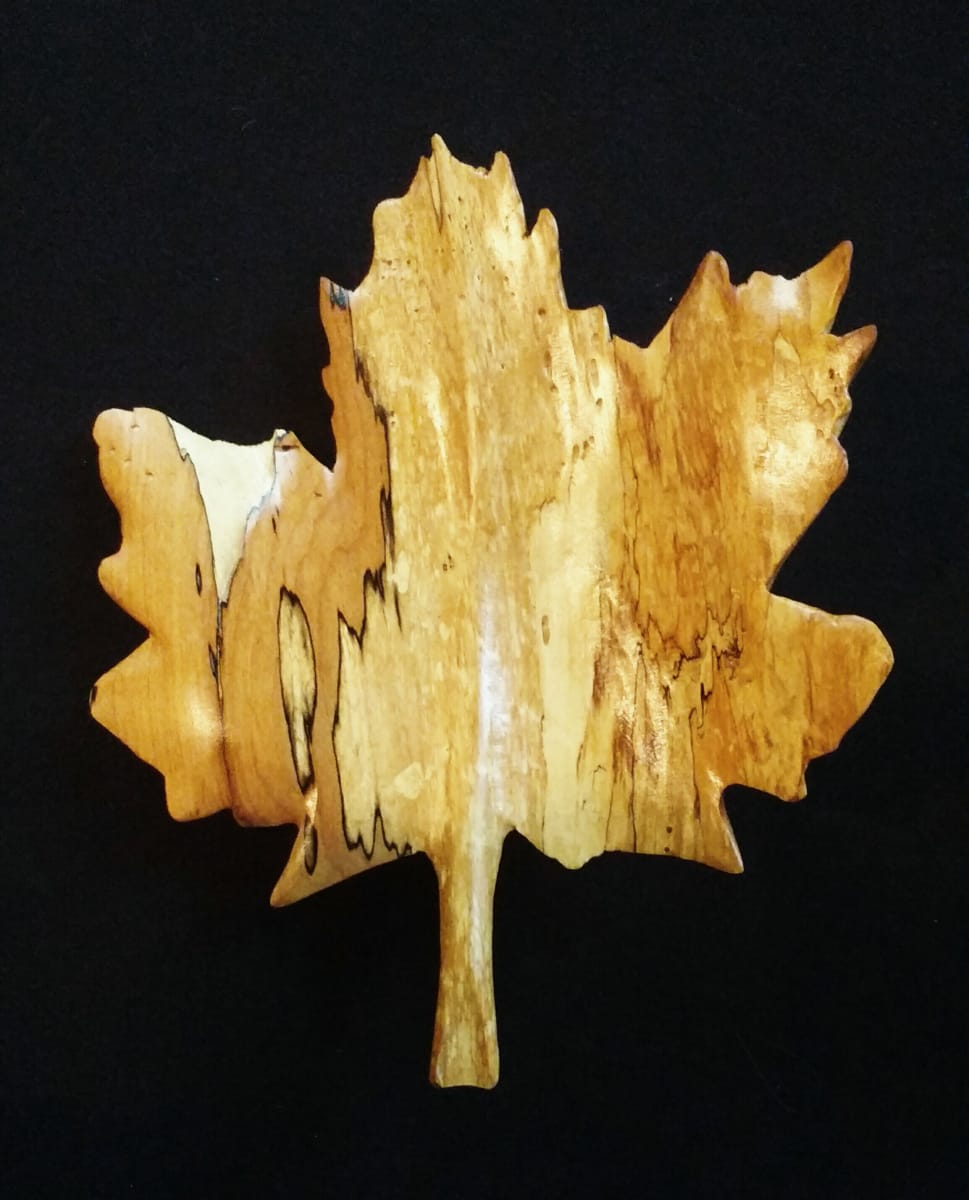Big Leaf Maple (Native to Western North America) by Homer Daehn 